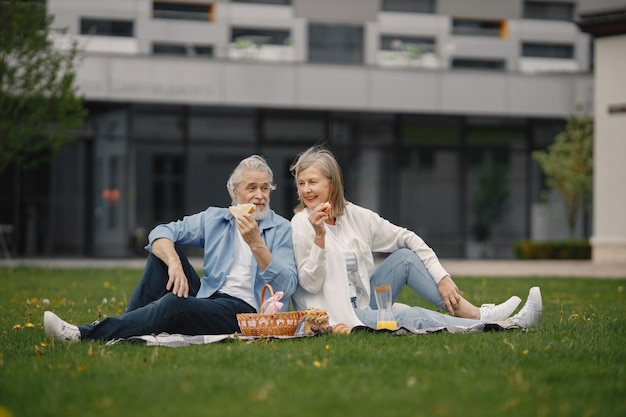Senior couple having a great time on a picnic in summer