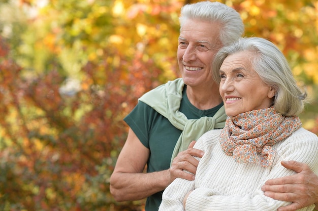 Senior couple hugging in the park