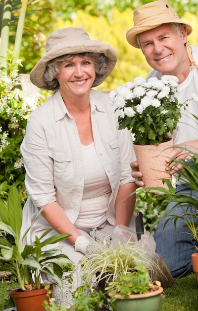 Senior couple looking at the camera in the garden