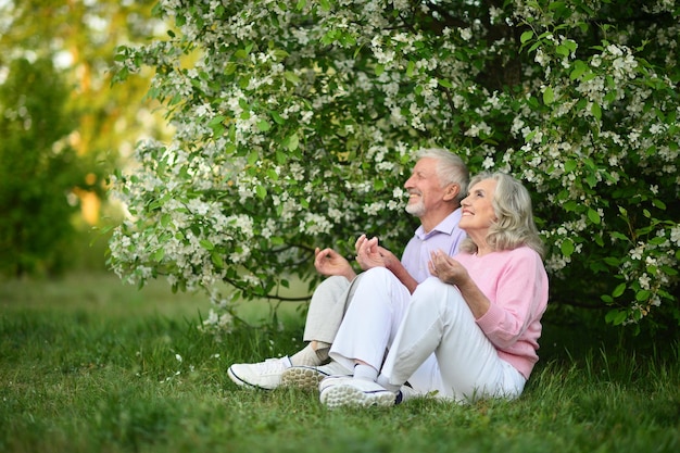 Senior couple meditating