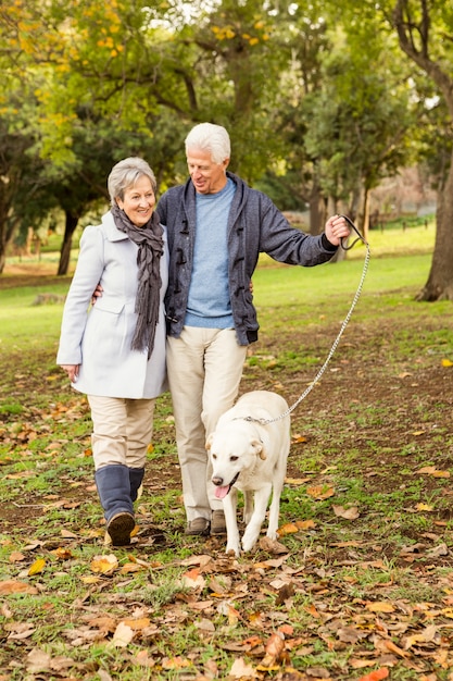 Senior couple in the park