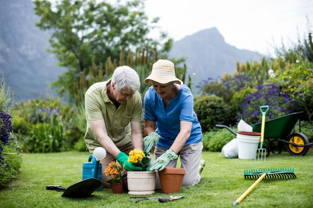 Senior couple planting flower