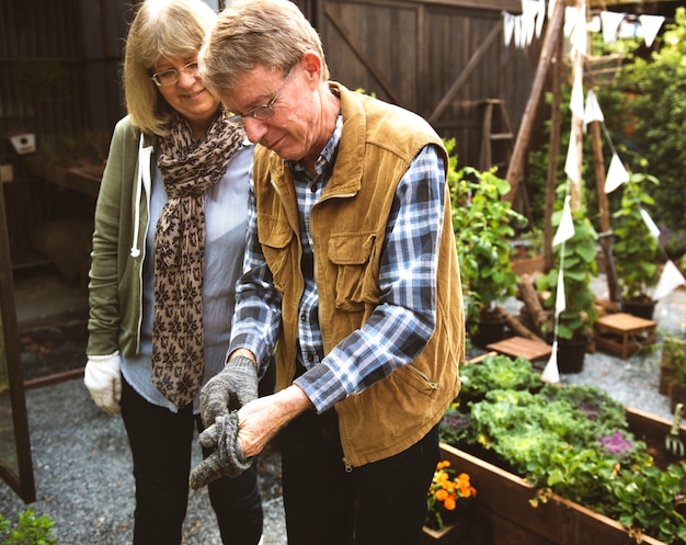 庭の裏庭で野菜を植えるシニアカップル