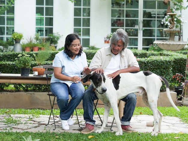Senior couple playing with big dog in home garden.
