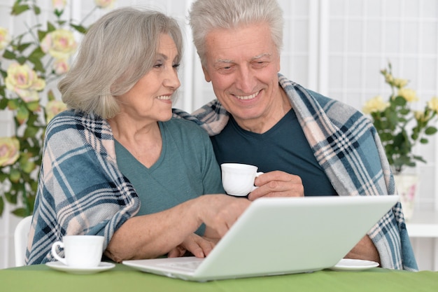 Senior couple portrait with laptop at home