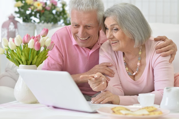 Senior couple portrait with laptop at home