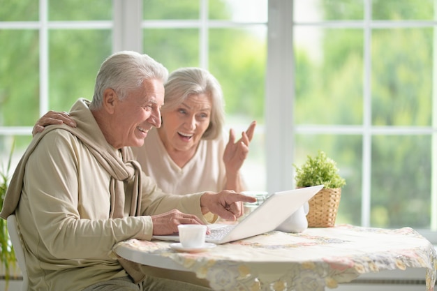 Senior couple portrait with laptop at home