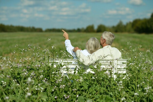 Senior couple resting at summer park on bench,woman pointing by her hand,back view