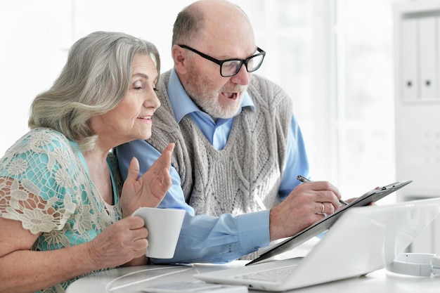 Senior couple using laptop at home