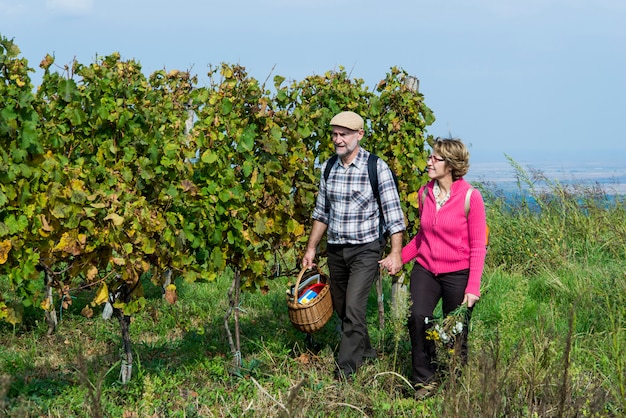 Senior couple in the vineyard