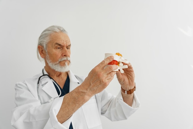 Senior doctor examines the model of several spines in modern clinic