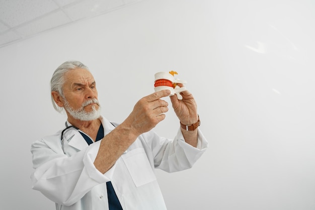 Фото Старший врач осматривает модель нескольких позвоночников в современной клинике