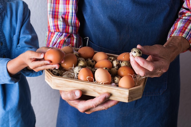 Senior farmer man holding in hands fresh organic eggs