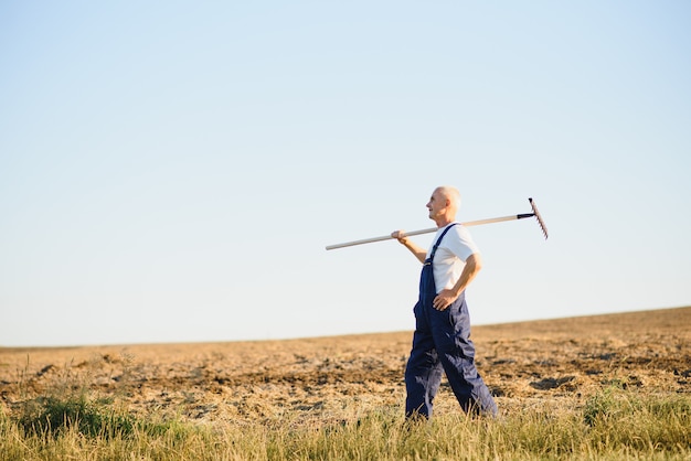 Senior farmer stands in a field with a rake