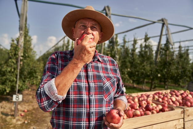 senior farmer tasting an apple
