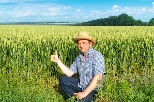 Senior farmer in a wheat field with a raised thumb up giving a sign of a good harvest.