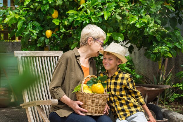 Senior farmer, woman, grandmother with young boy, grandson harvesting lemons from the lemon tree in the private garden, orchard. Seasonal, summer, autumn, homegrown concept.