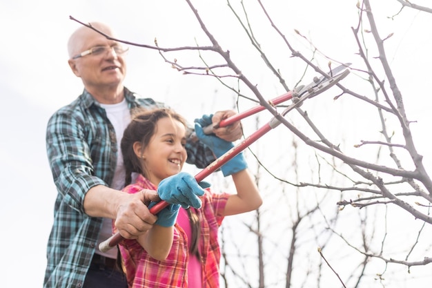 Senior grandfather and granddaughter gardening in the backyard garden.