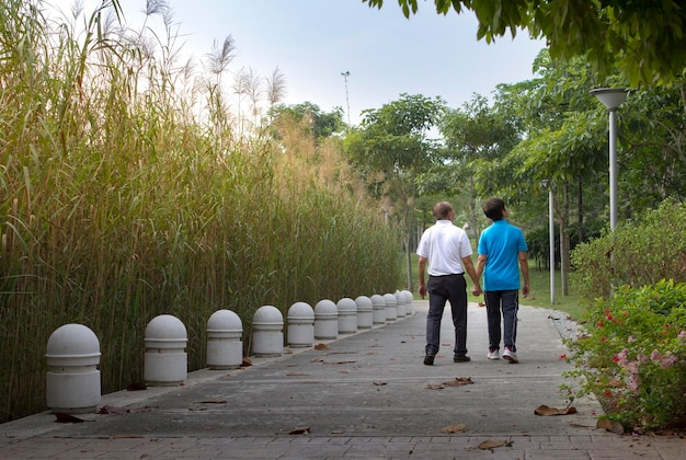 Senior koppel hand in hand in het park