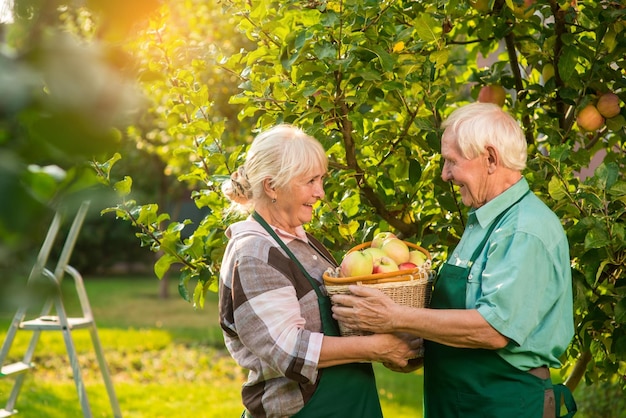 Senior koppel met appelmand