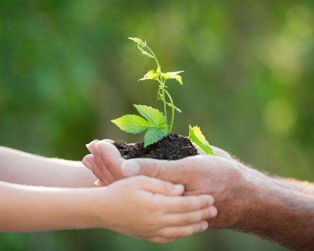 Senior man and baby holding young plant in hands against spring green background Ecology concept