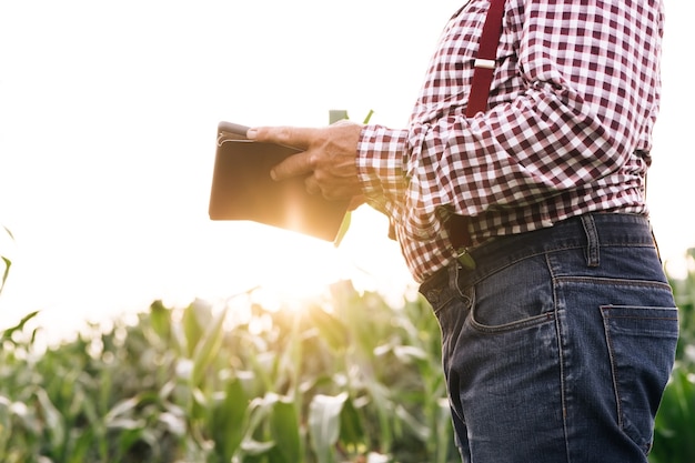 Senior man boer met digitale tablet werken in veld smart farm in een veld met maïs landbouw