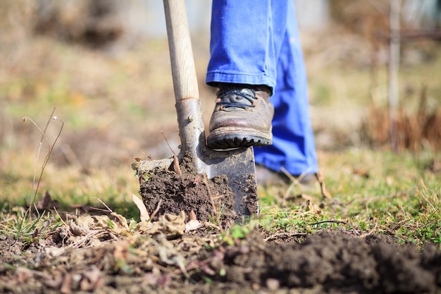 Senior man graven van een tuin voor nieuwe planten na de winter door spade