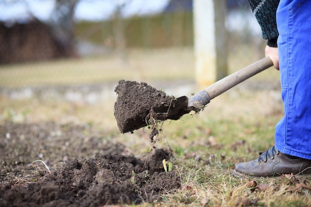 Senior man graven van een tuin voor nieuwe planten na de winter door spade