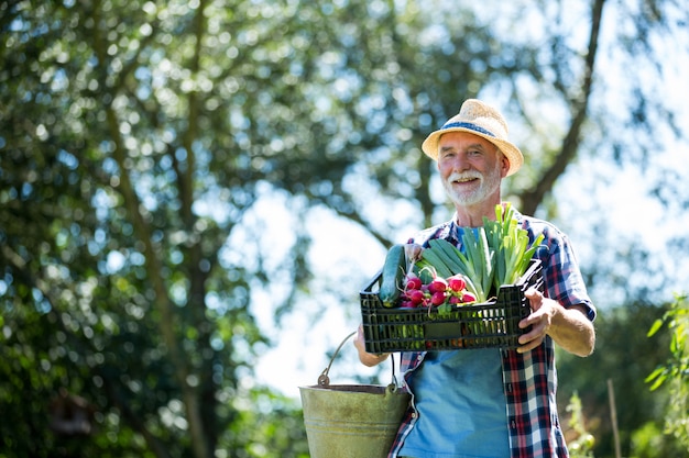 Foto cassa della tenuta dell'uomo senior degli ortaggi freschi in giardino