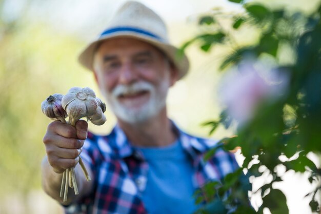 Senior man holding freshly picked garlic bulb