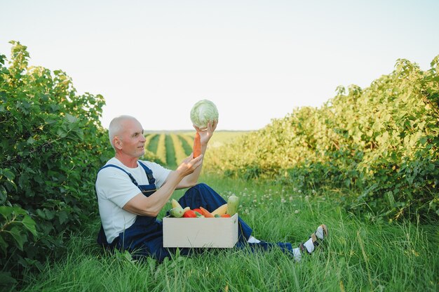 年配の男性が季節の野菜がいっぱい入った箱を持ち上げる