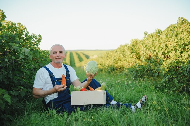 年配の男性が季節の野菜がいっぱい入った箱を持ち上げる