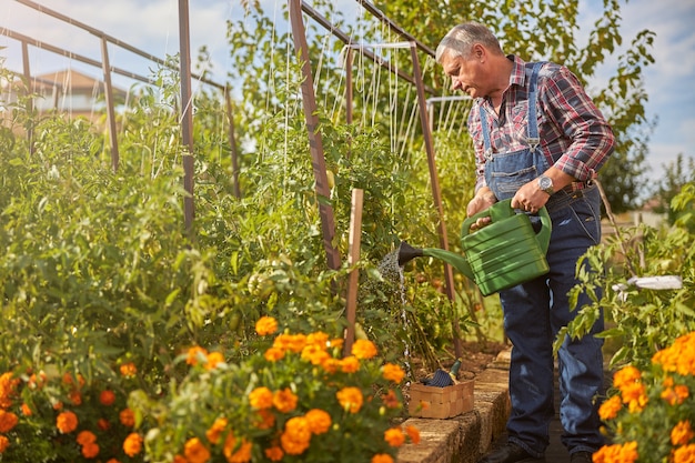 彼の庭の鉢から植物に水をまく立っている年配の男性