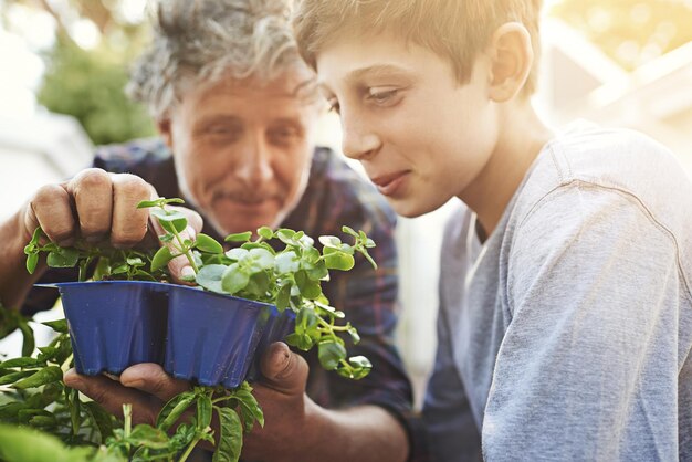 写真 農業の持続可能性や園芸のために庭の植物について子供に教える年配の男性自然の絆と自宅の裏庭で男の子とハーブの葉をチェックする高齢男性