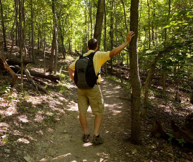 Senior man wandelen in het bos met rugzak