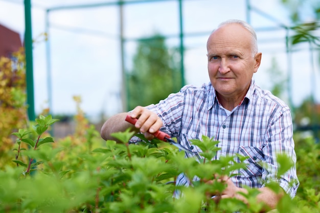 Senior man working in the garden