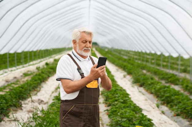 Senior man zorgt voor planten in moderne kas