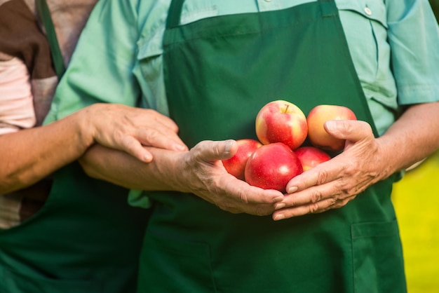 Senior mannelijke handen met appels