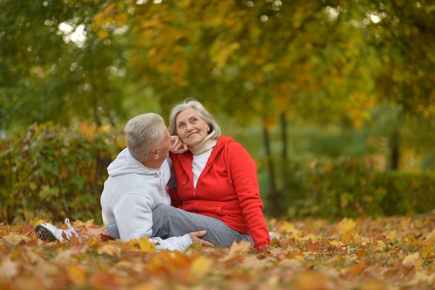 Senior paar ontspannen in park