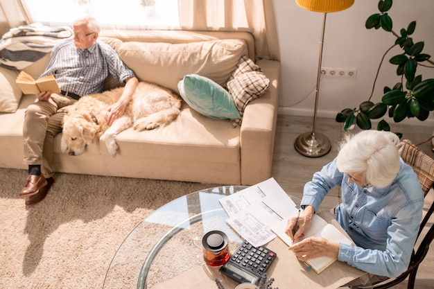 Senior paar tellen van financiën