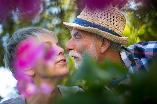 Senior paar zoenen in de tuin