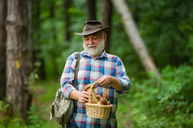 Senior picking wild berries and mushrooms in national park forest mushroom picker grandfather