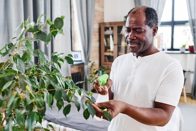 Senior retired man in home wear spraying water on green leaves of domestic plant