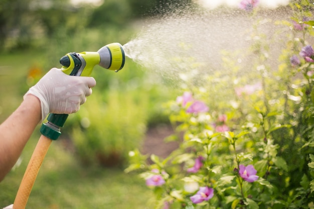 Senior vrouw haar mooie bloemen drenken met de hand drenken buis, tuinieren concept