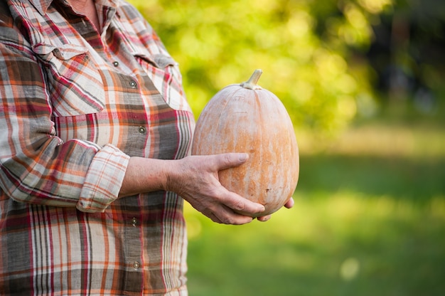 Senior vrouw in een geruite overhemd heeft een pompoen in de tuin.