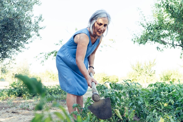 Senior vrouw in een moestuin met schoffel