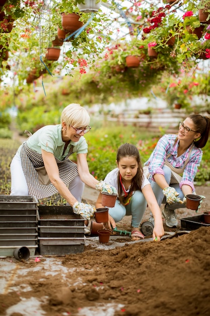 Senior vrouw, jonge vrouw en meisje plant bloemen in potten op greengarden