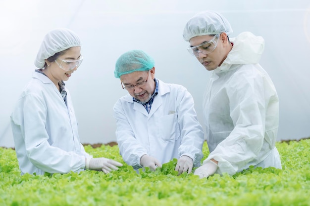 Senior wetenschapper en boer die sla-groente-hydrocultuur controleert in het lab