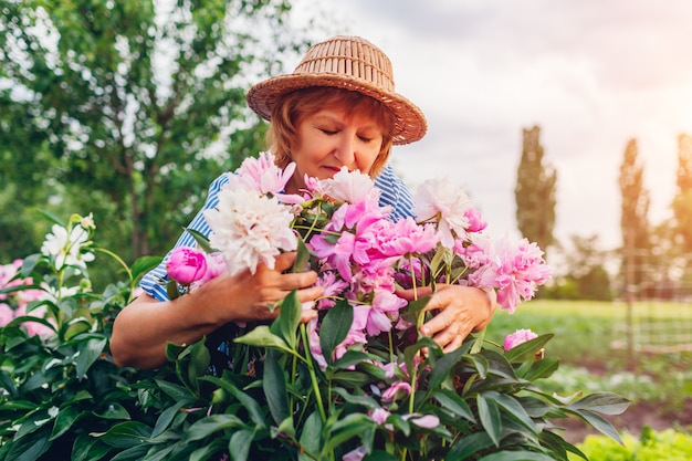 年配の女性が庭で花を収集しています。牡丹を抱き締める高齢者の引退した女性