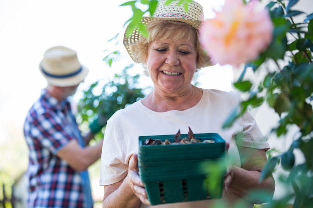 Senior woman holding crate of snail in garden